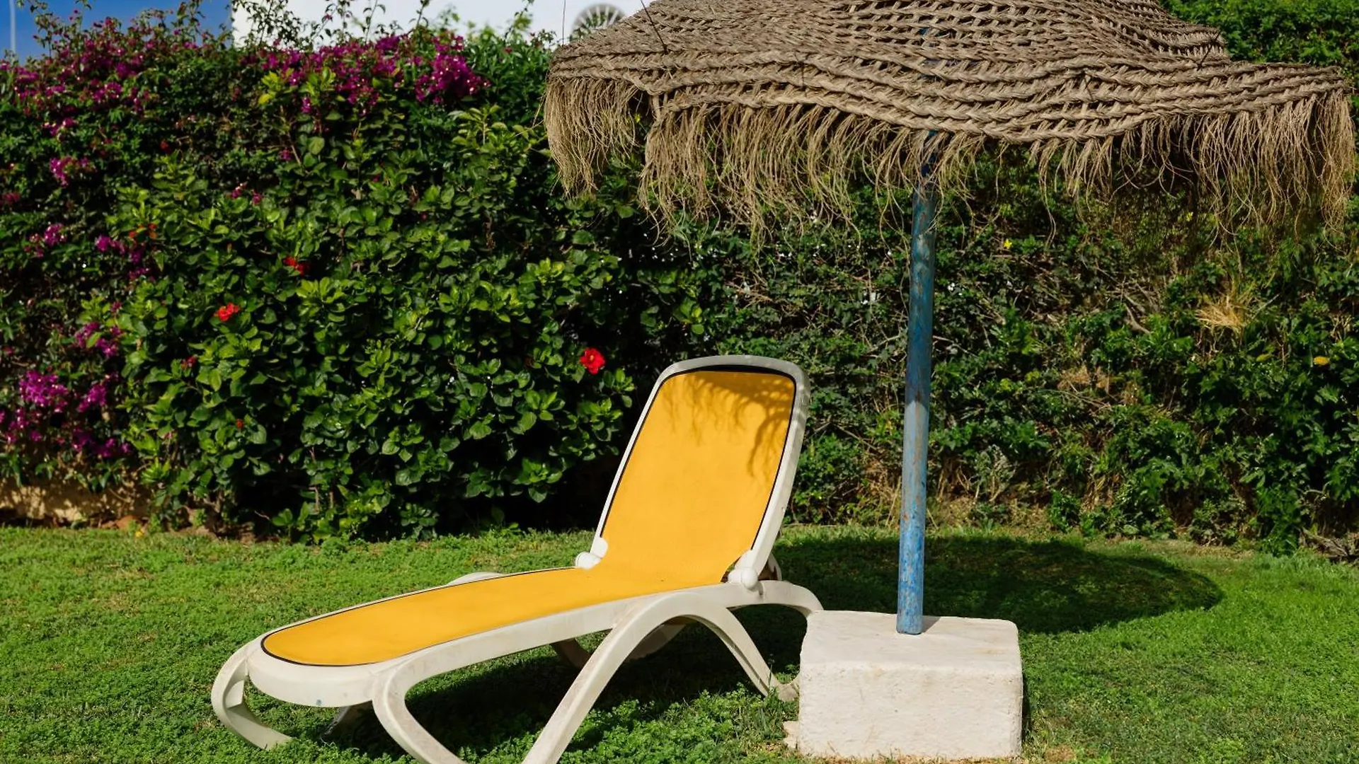 Los Alamos Dreams Torremolinos 0*,  Spain